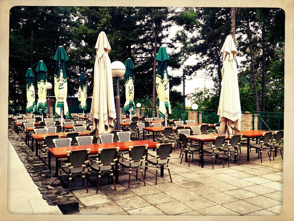 Hotel 1000 Ruza Beograd Bagian luar foto